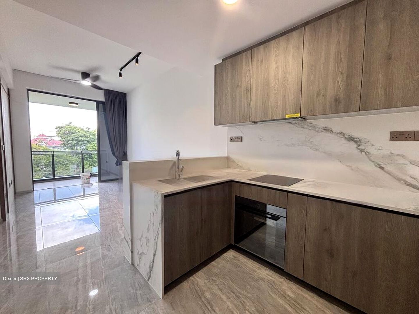 Leedon Green (D10), Condominium #465358551